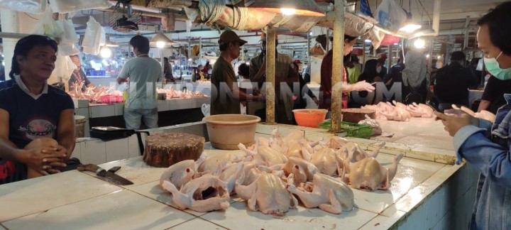 Jelang Nataru Harga Ayam Potong Naik Jadi Rp 65 Ribu