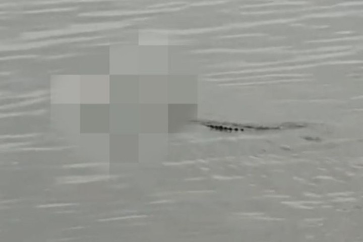 Viral Buaya Antar Jasad Anak ke Keluarga, Pawang Digigit dan Diseret Buaya di Depan Warga 