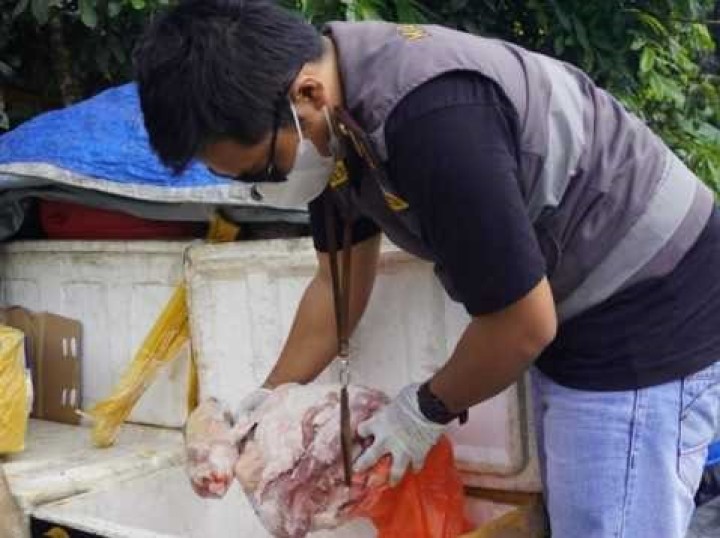 1 Ton Daging Babi Dilarang Masuk Balikpapan