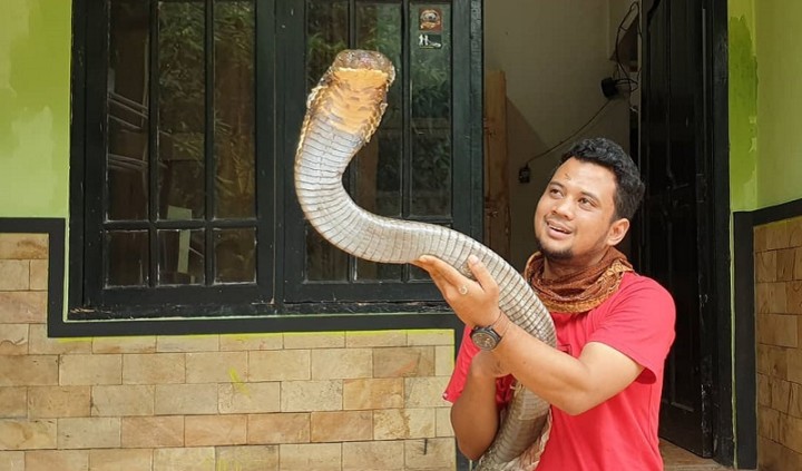 Link Live Streaming Panji Petualang 911 Bontang, Kamis 23 Februari 2023