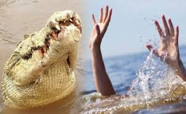 Pemancing Diterkam Buaya di Atas Kapal
