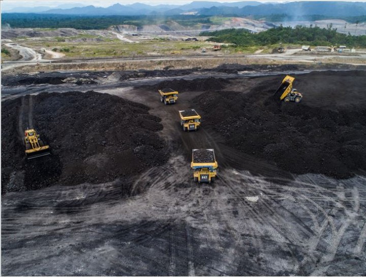 5 Perusahaan Batu Bara Paling Moncer, Raup Laba Bersih di atas Rp 10 Triliun