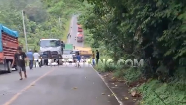 Akses Lumpuh! Tak Kuat Nanjak 2 Truk Trailer Sangkut di Poros Bontang-Samarinda