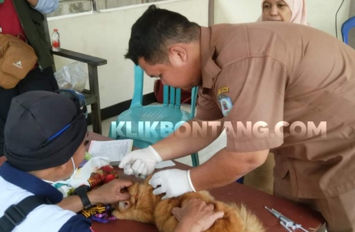 Pemkot Bontang Gelar Vaksinasi Rabies Gratis selama 3 Bulan, Antisipasi Gigitan ke Manusia