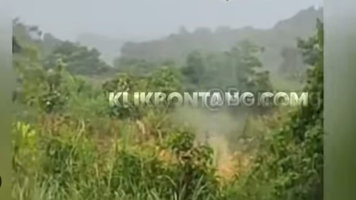 Tersambar Petir, 2 Kabel PLN Putus di Bontang Lestari Sebabkan Lahan Terbakar