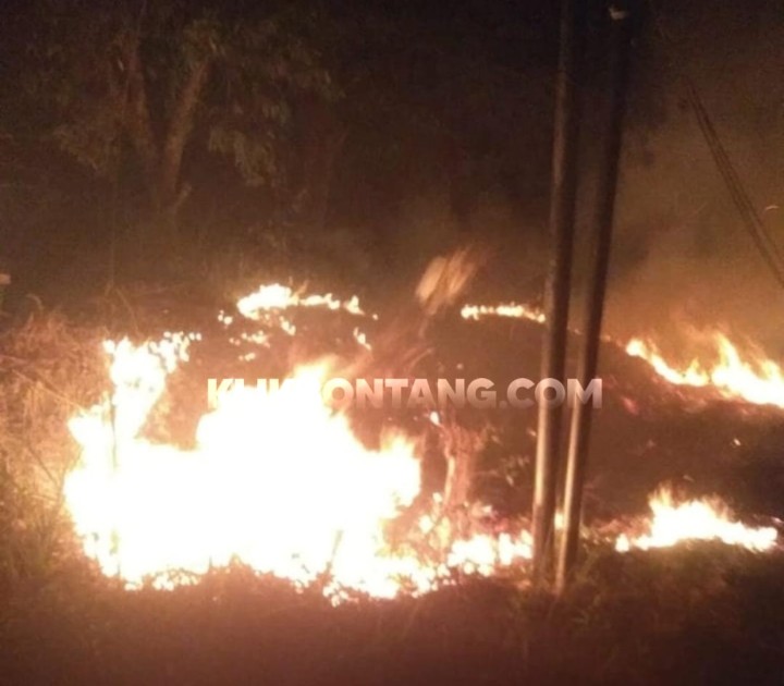 Lahan di Jalan Pipa Bonles Terbakar, Kobaran Api sempat Sambar Kabel Listrik