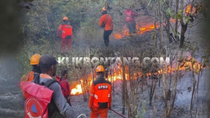 7 Hektar Lahan di Bontang Lestari Dilalap Api