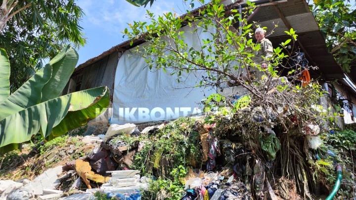 feed