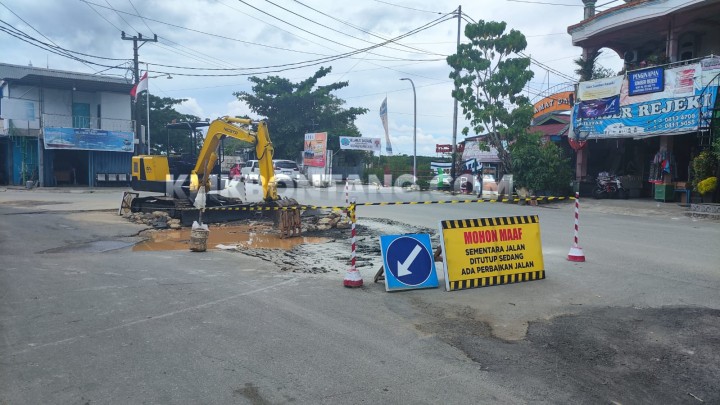 feed