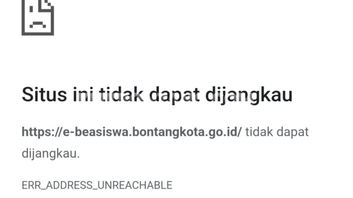 feed