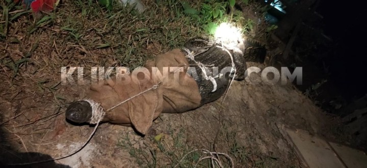 BKSDA Kaltim Siap Fasilitasi Pemkot Bontang Bikin Penangkaran Buaya