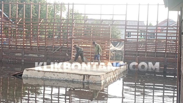 BKSDA Setor Hasil Kajian Rencana Pengembalian Riska dan 39 Buaya Lain ke Bontang
