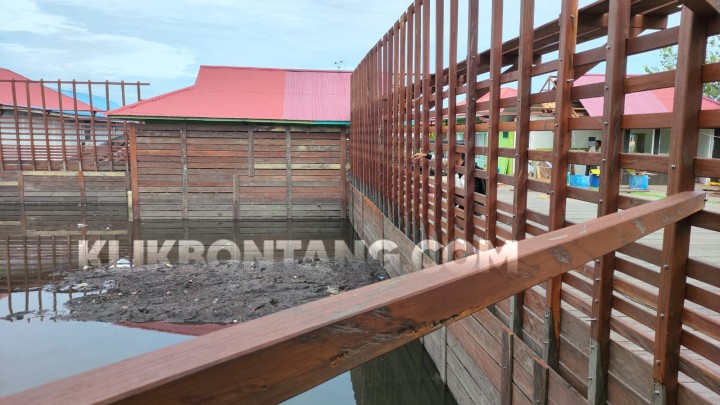 Pro Kontra Warga Soal Buaya Riska Ditempatkan di Kandang Tanjung Laut Indah