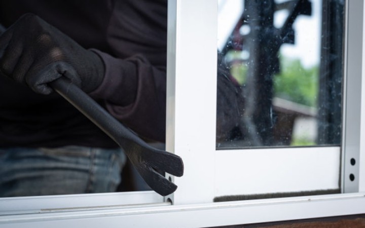 feed