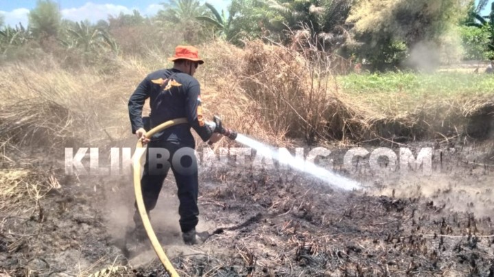 Hampir 1 Hektar Lahan di BTN PKT Terbakar, Api Nyaris Merembet ke Pemukiman Warga