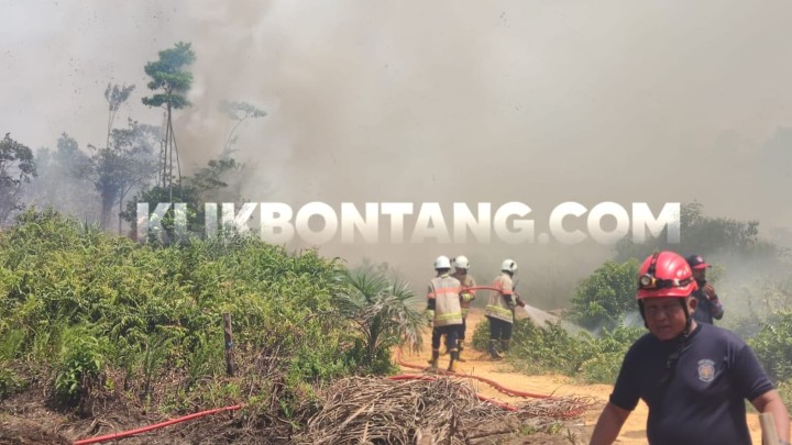 Pelaku Pembakaran Lahan di Kanaan Ditangkap, Api Terus Membesar