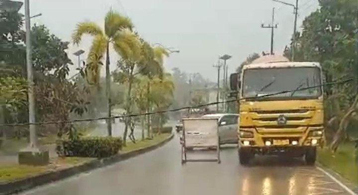 Pohon Tumbang Timpa Kabel Listrik di Bontang Lestari, Lalu Lintas Sempat Terhenti