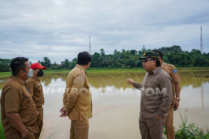 feed