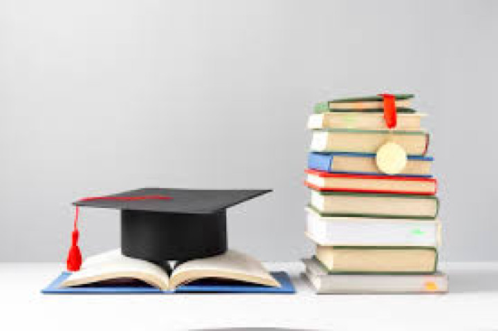feed