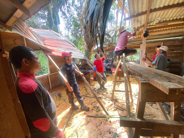 Pohon Aren Tumbang Timpa Rumah Warga di Kanaan, Hunian Rusak Parah