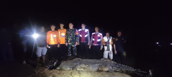 Buaya 3 Meter Penerkam Bocah 10 Tahun di Sungai Sangatta Ditangkap