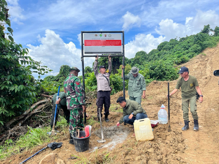 Ditertibkan Petugas, Penambang Batu Bara Ilegal di HL Jalan Poros Bontang Ngacir; Tersisa Jejak Alat Berat
