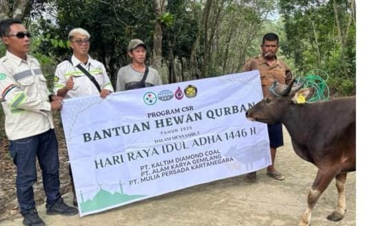 PT KDC Bagikan Hewan Kurban untuk Warga di 3 Desa Kutai Kartanegara