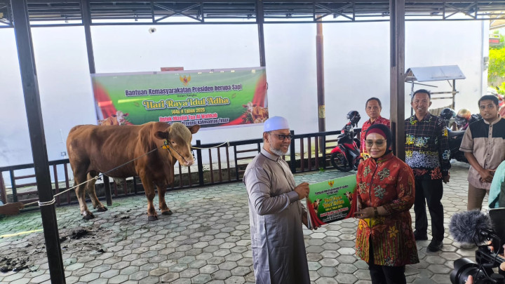 Wali Kota Neni Serahkan Sapi dari Presiden Prabowo ke Takmir Masjid Tua; Daging Kurban Dibagikan untuk 350 Warga