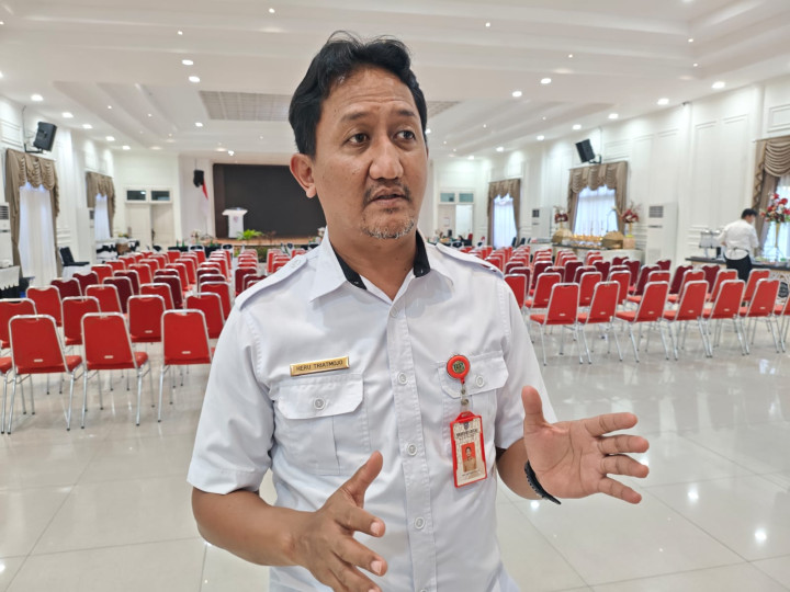 feed
