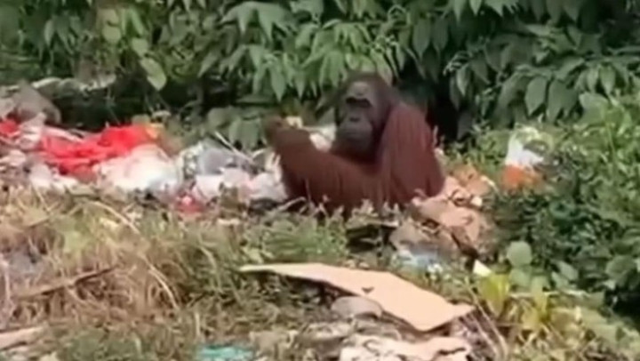 feed