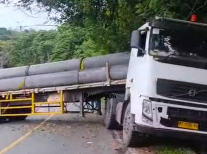 feed