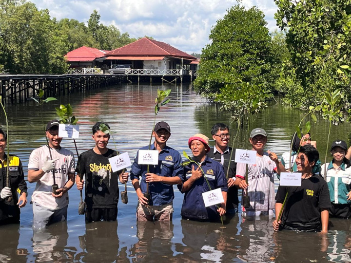 Green Action Day, PT Black Bear Resources Indonesia Tanam Mangrove dan Bersih-bersih Pantai