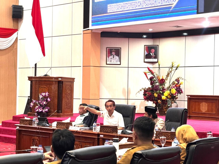 feed