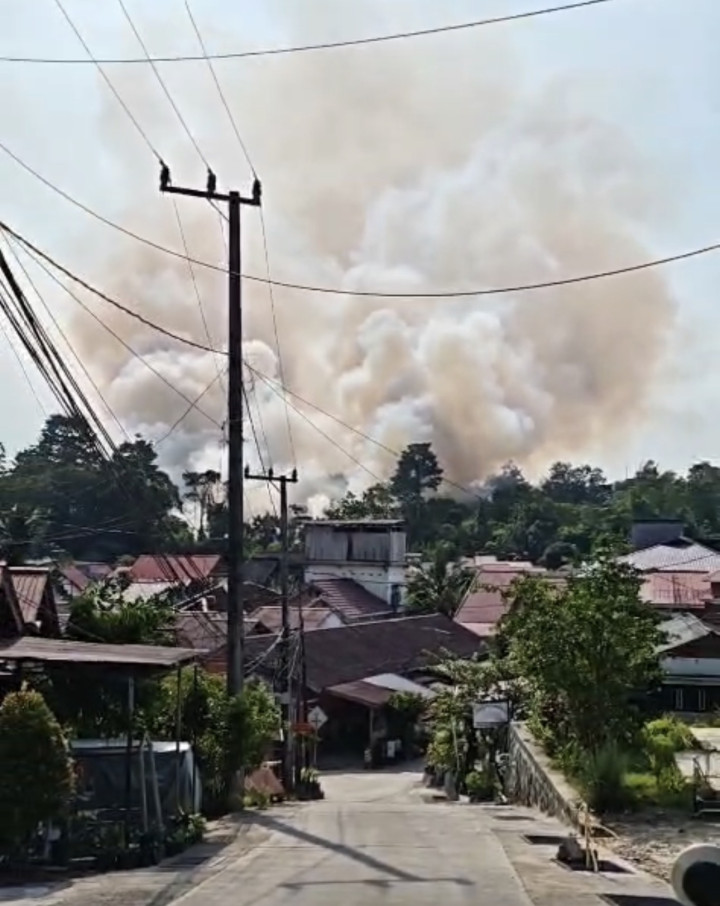 Si Jago Merah Mengamuk di HOP 7; 8 Hektar Habis Terbakar