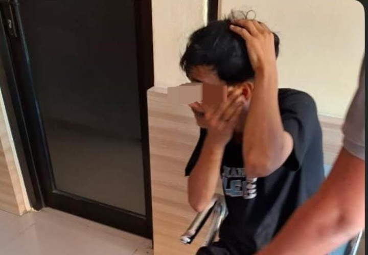 Baru-baru Ketangkap; Maling Mangga Kembali Diringkus, Ancaman Hukuman Ringan Jika Tak Ada Laporan