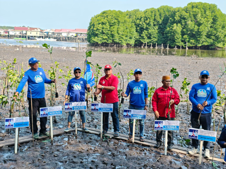 Galakkan Gerakan Langit Biru, Demokrat Bontang Tanam Seribu Pohon Mangrove