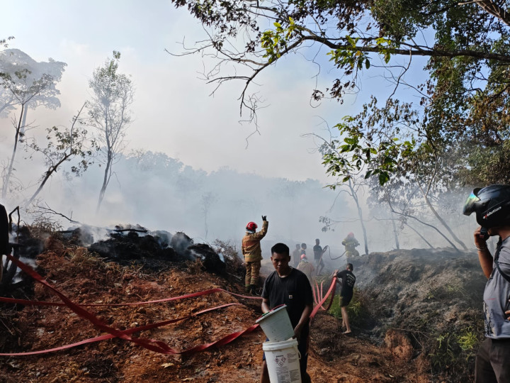 Karhutla di Bontang Meningkat; Luasan Setara 35 Kali Lapangan Bola Habis Terbakar