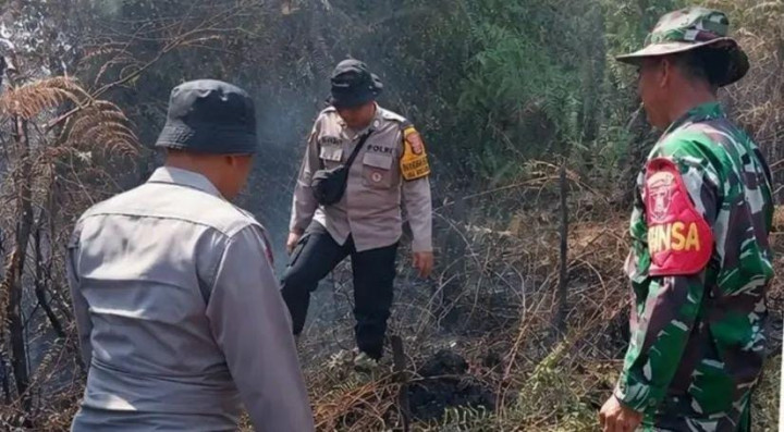 Lahan Diduga Milik Pegawai Pemkot Bontang Diduga Sengaja Dibakar, Saksi Lihat Mobil Dinas Angkut 4 Orang
