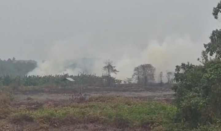 Karhutla di Perbatasan Guntung-Sempayang, Angin Kencang Picu Api Cepat Merambat