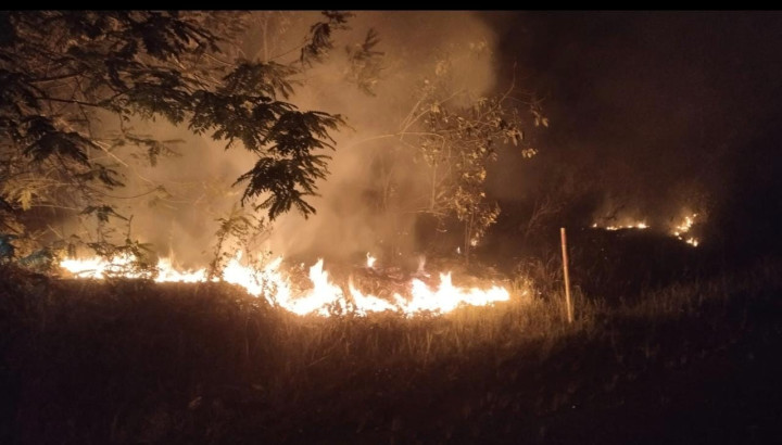 124 Hektare Hutan dan Lahan di Bontang Terbakar Sepanjang Tahun Ini, Setara dengan 174 Lapangan Sepak Bola