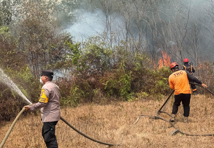 Kerja Ekstra Padamkan Karhutla, Personel Damkar dan BPBD Bontang Bakal Terima Insentif Tambahan