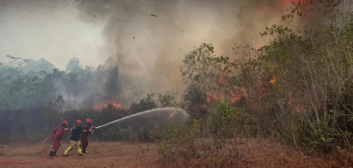 Lahan Dekat Permukiman di Nyerakat Kiri Membara, Petugas Kewalahan karena Angin Kencang