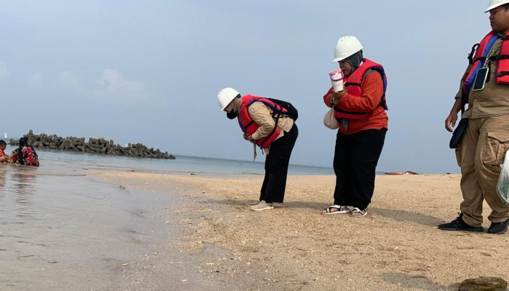 Pencemaran di Beras Basah Terjadi Lagi, Ekosistem Laut Terancam