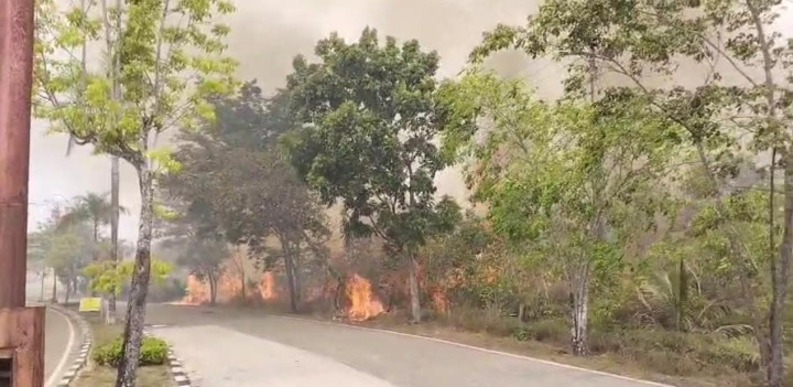 Polres Bontang Buru Pemicu Karhutla, Panggil Pemilik Lahan-Pekerja Proyek